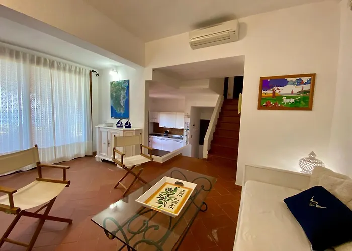 Taconta Tartariga * ヴィッラシミーウス