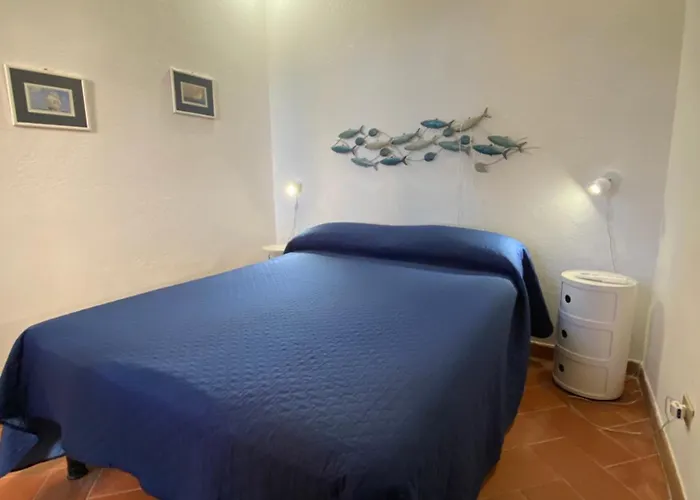 Taconta Tartariga ヴィッラシミーウス