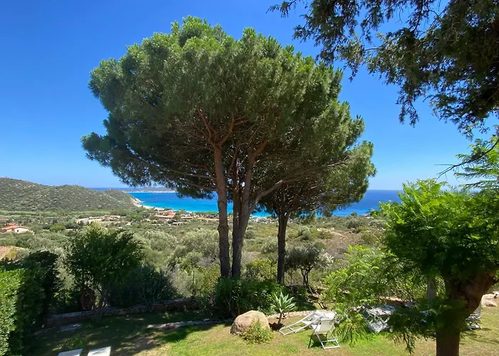 Taconta Tartariga * ヴィッラシミーウス