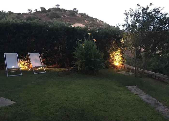 Taconta Tartariga ヴィッラシミーウス